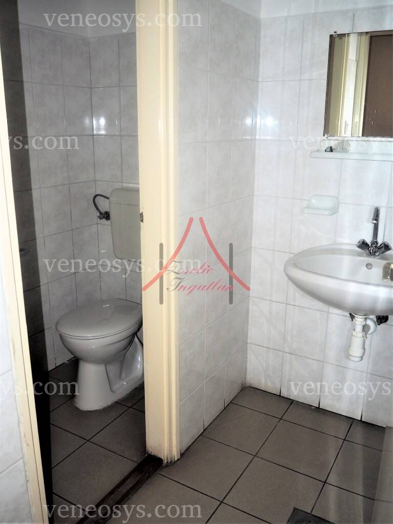 Kép 11