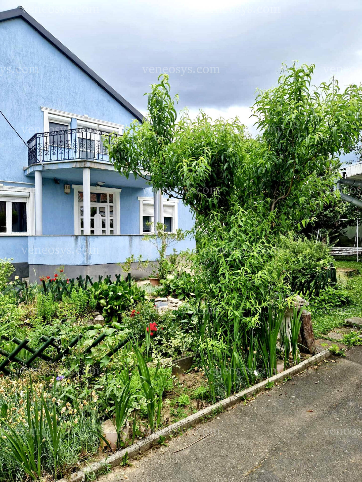 Zalaegerszeg