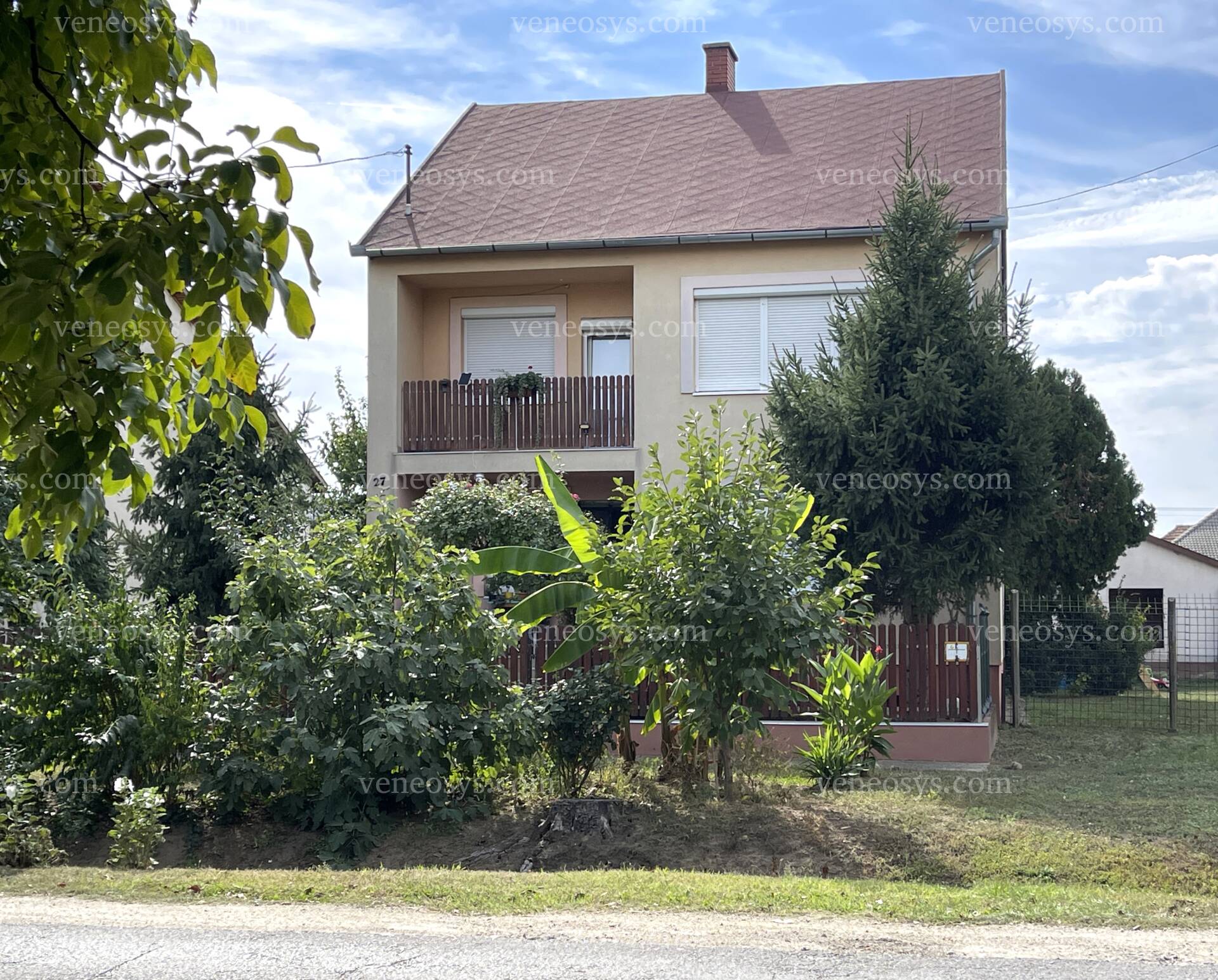Kép 5