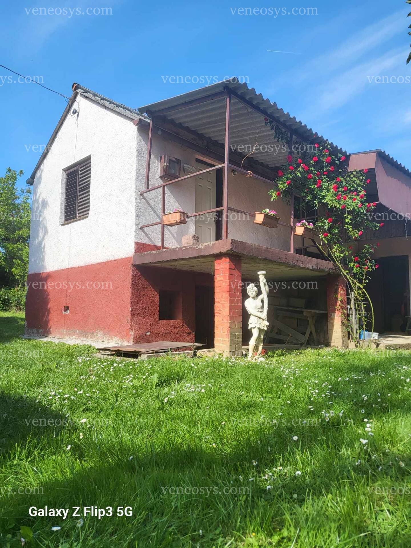 Kép 10