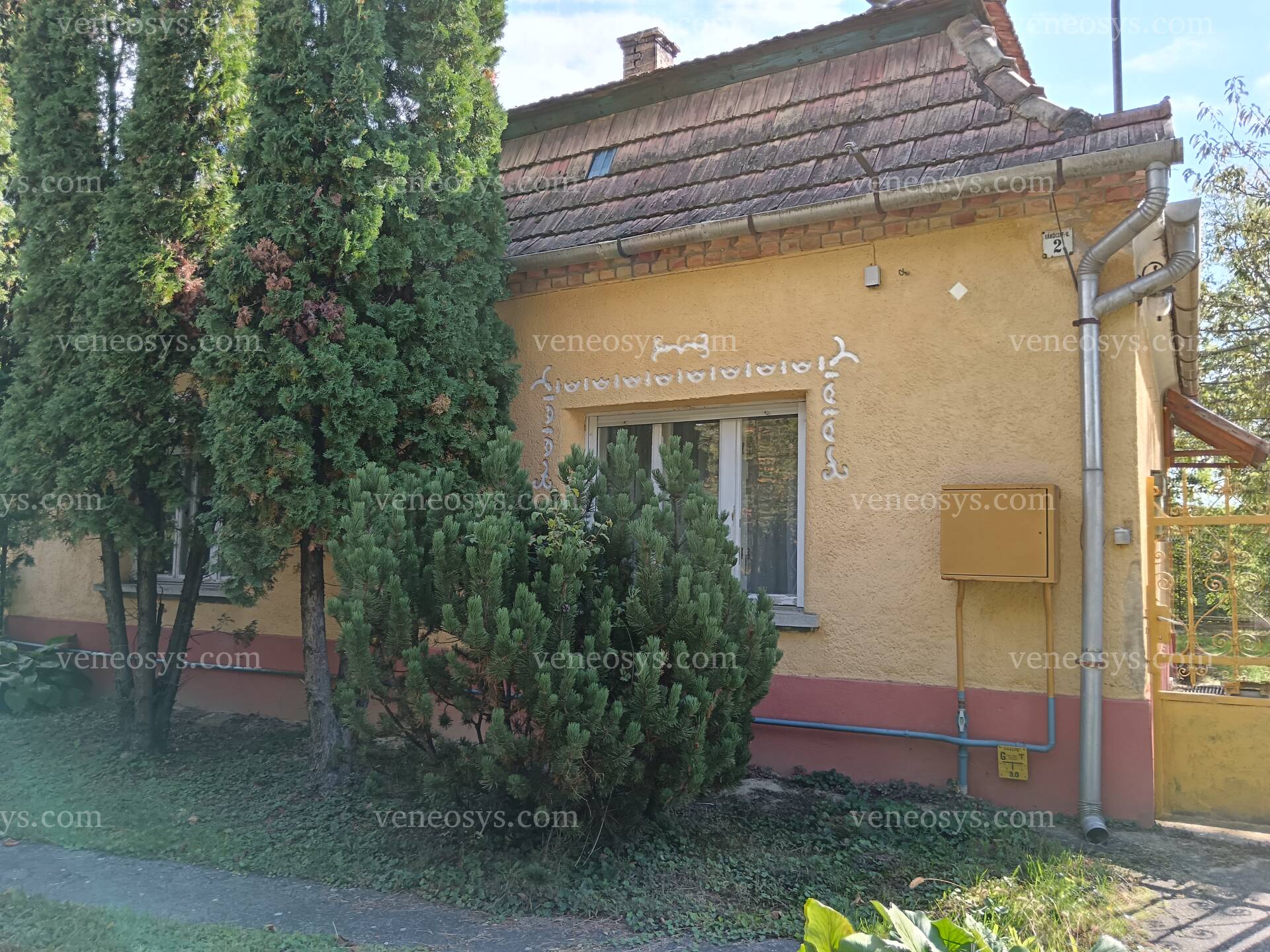 Kép 4