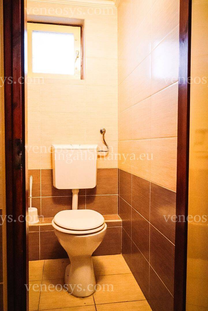 Kép 10