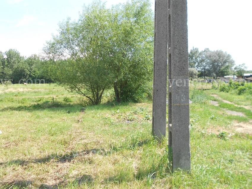 Kép 4