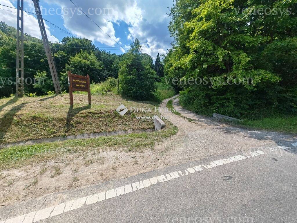 Kép 10