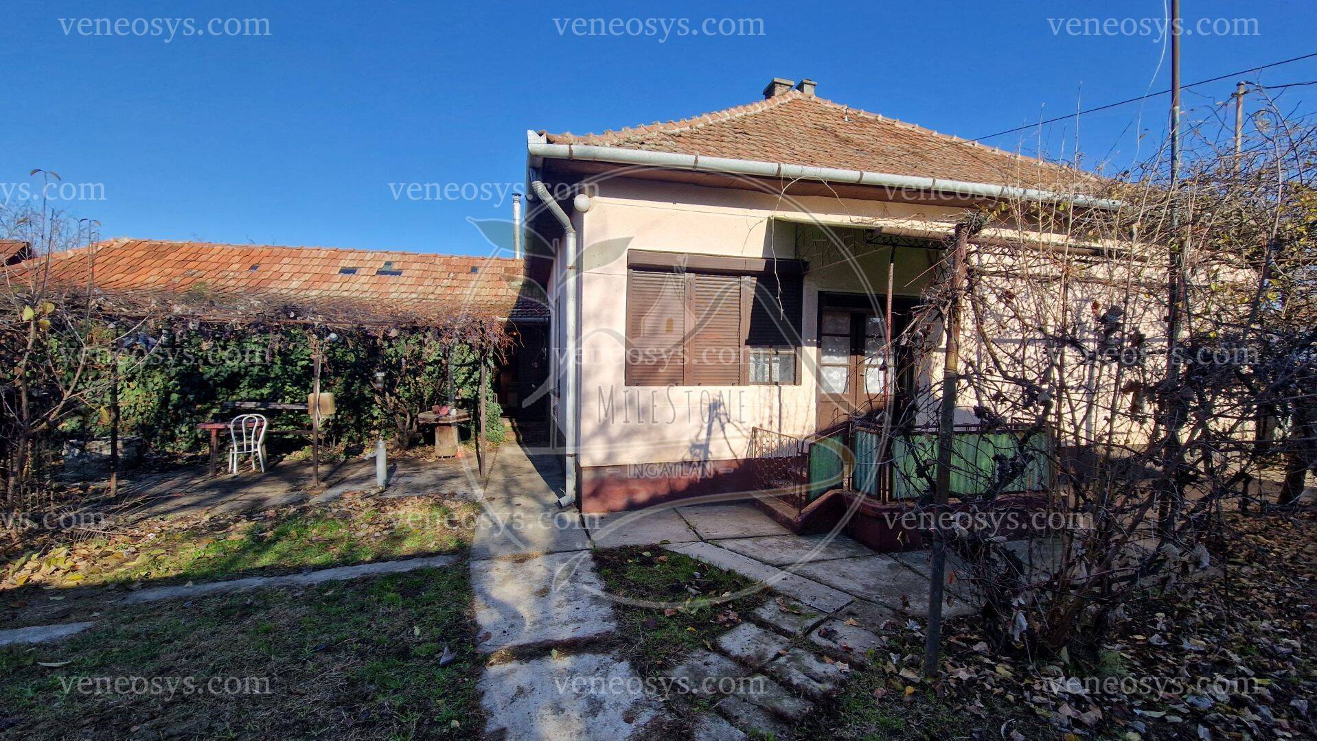Kép 3