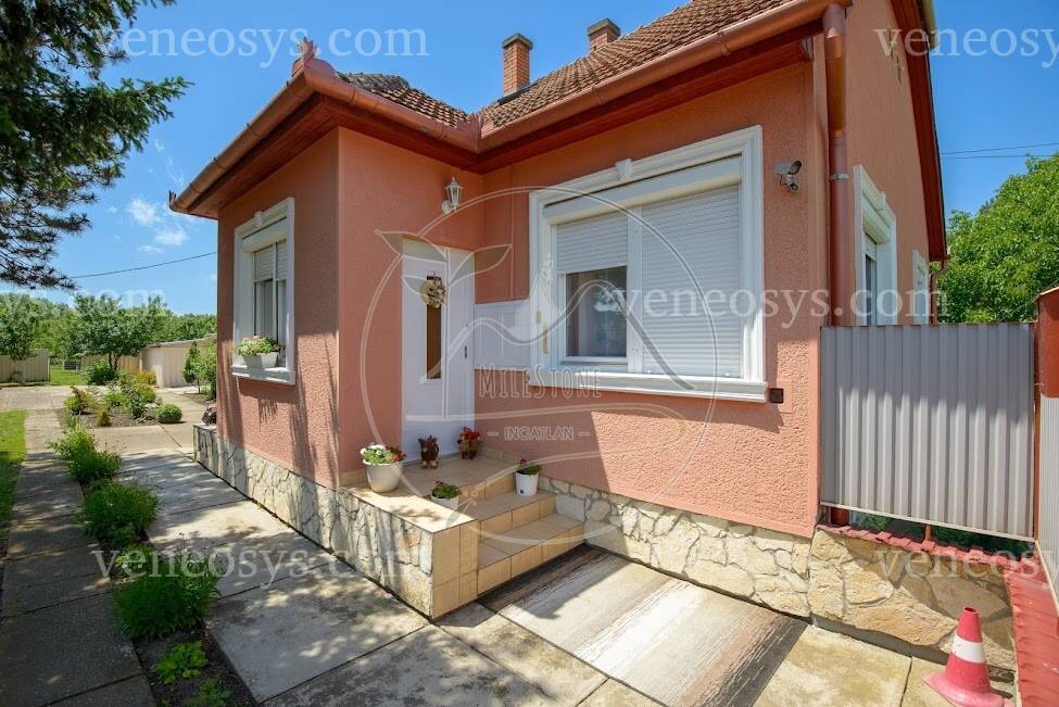 Kép 4