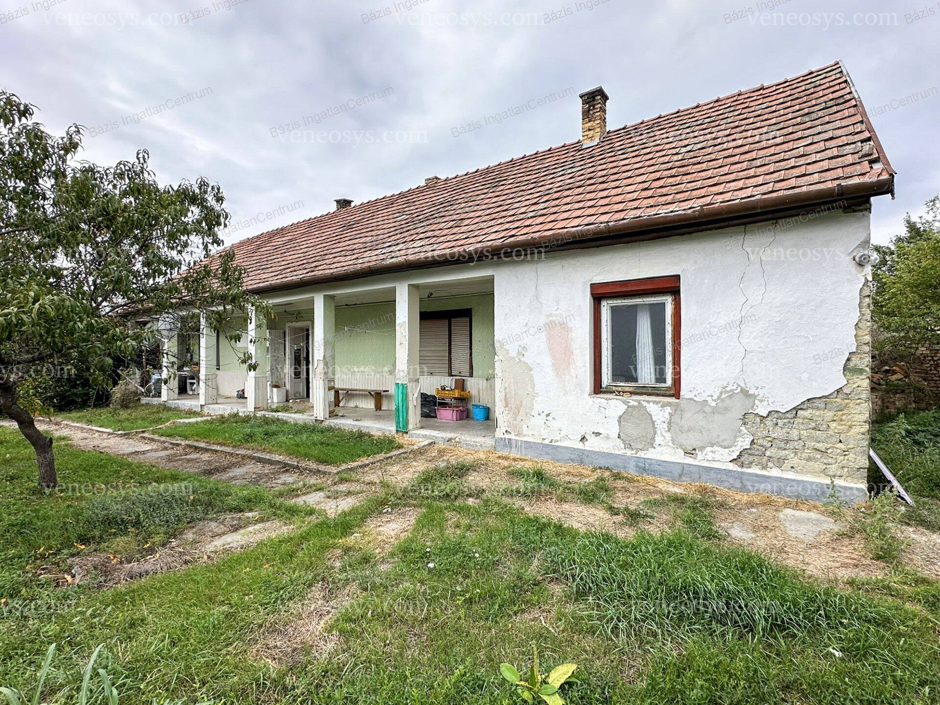 Kép 3