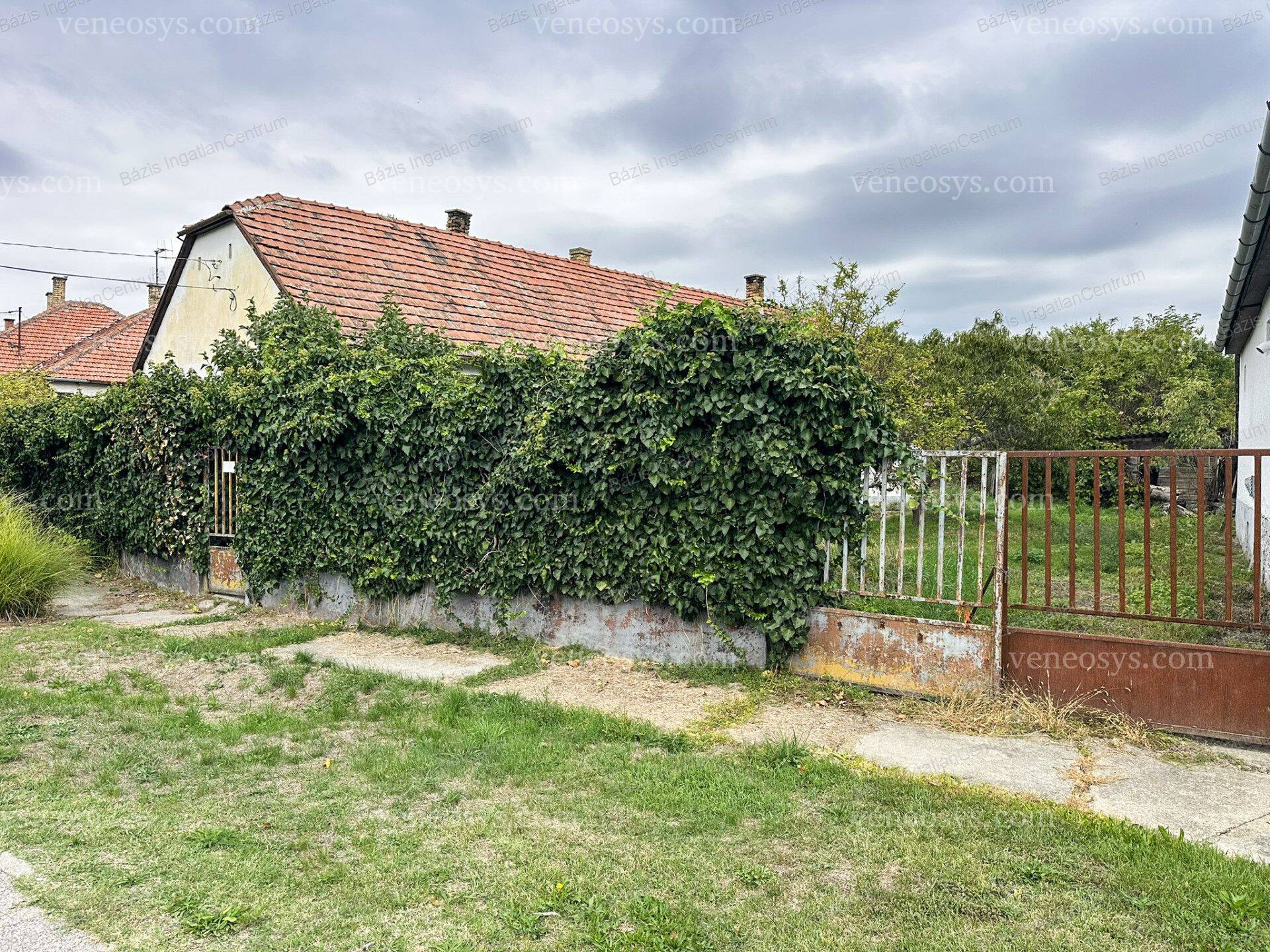Kép 11