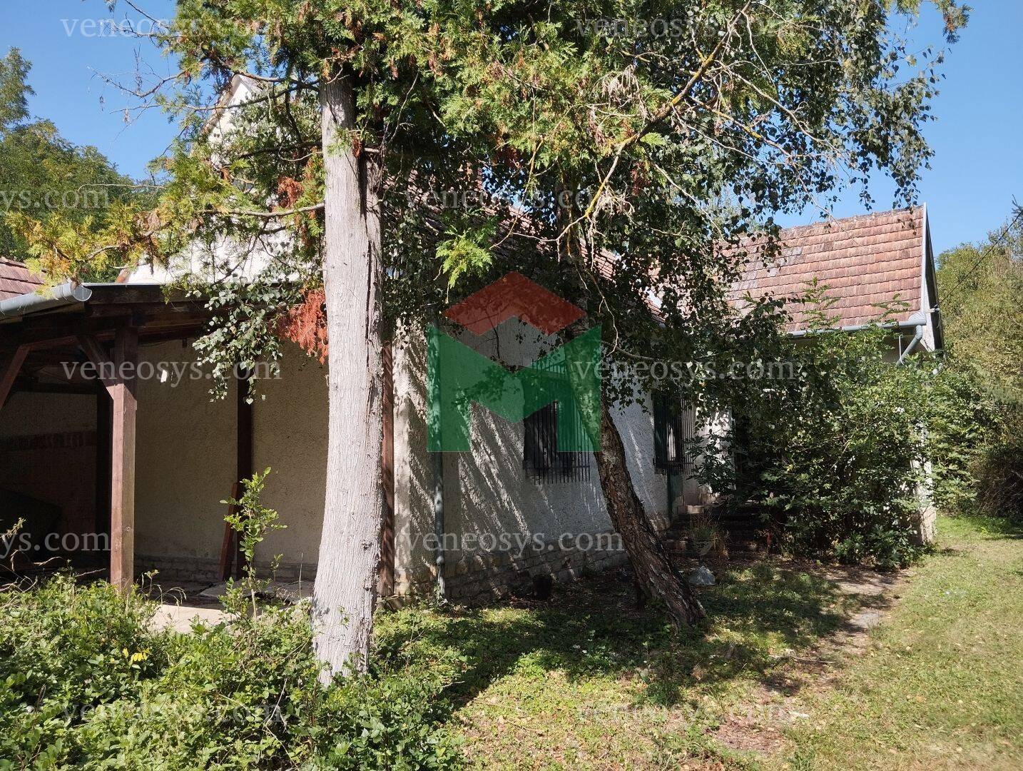 Kép 11