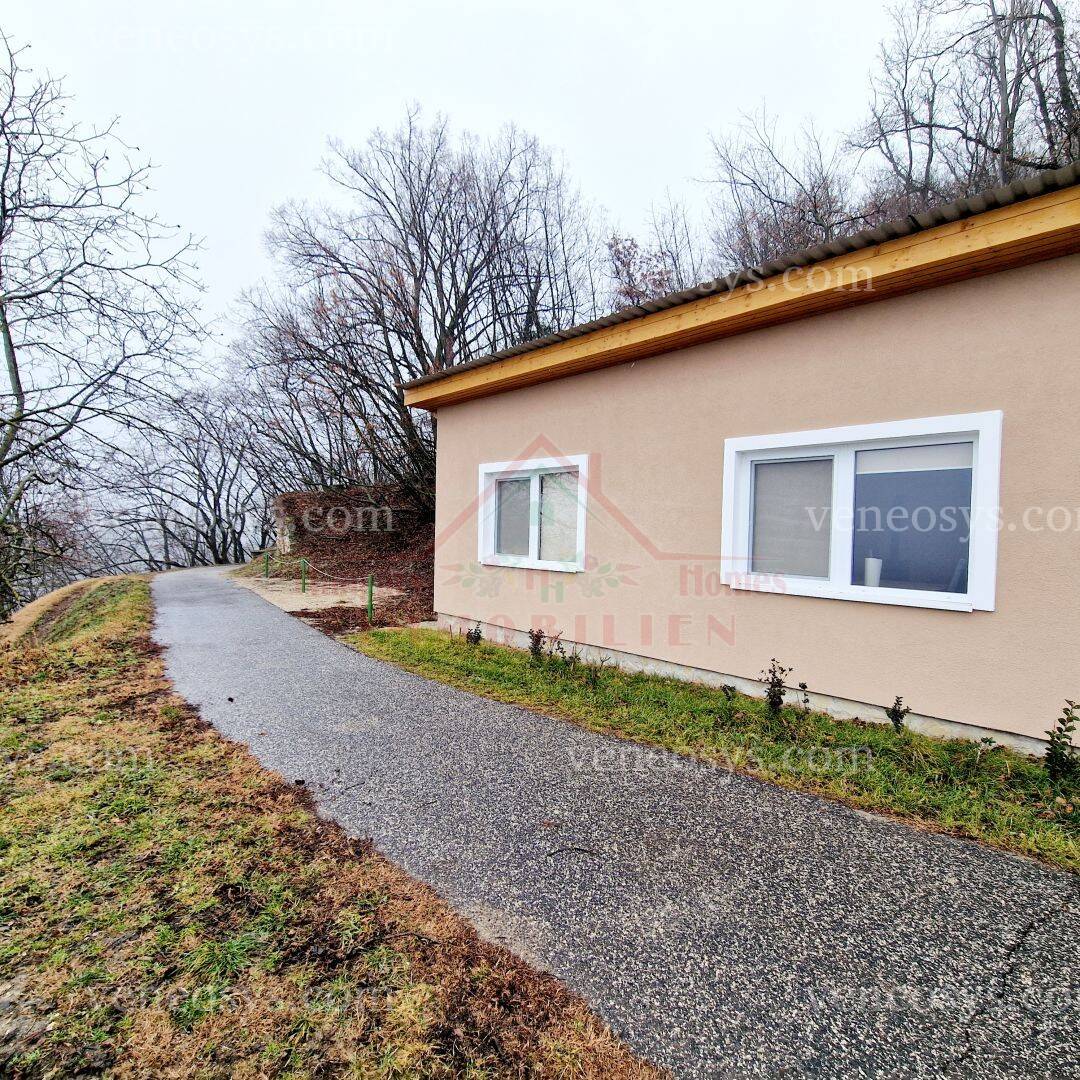 Kép 11