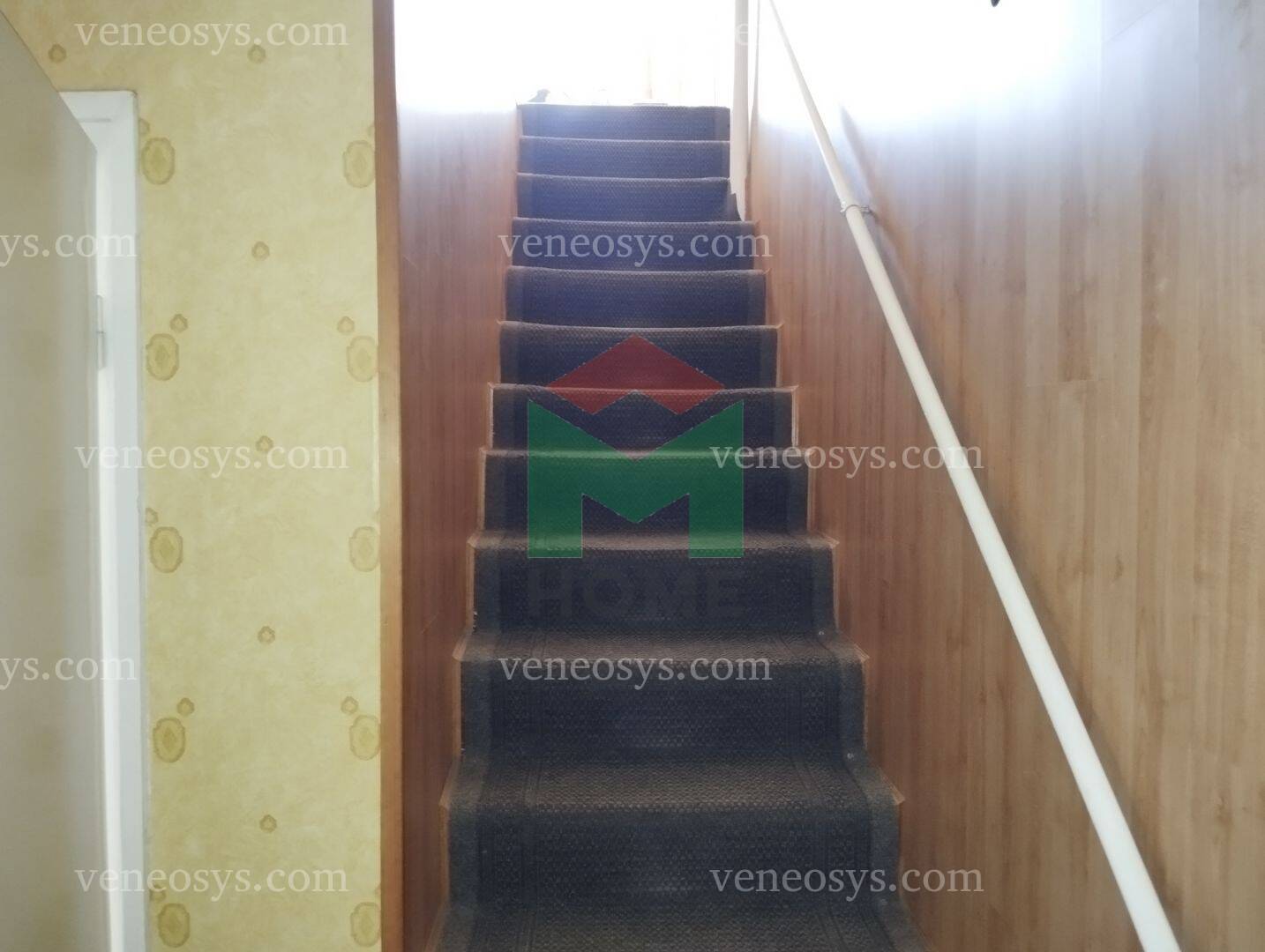 Kép 8