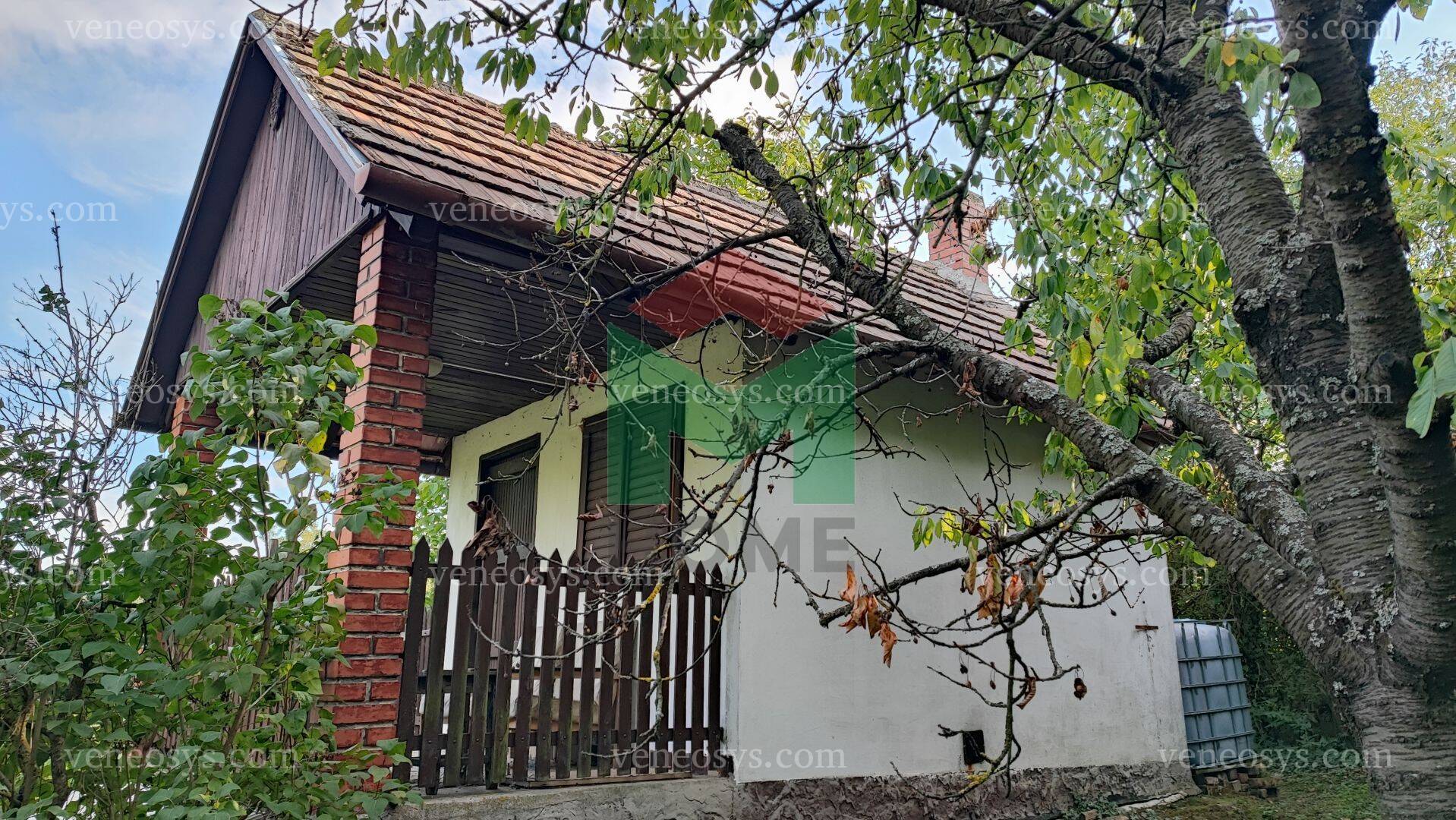Kép 7