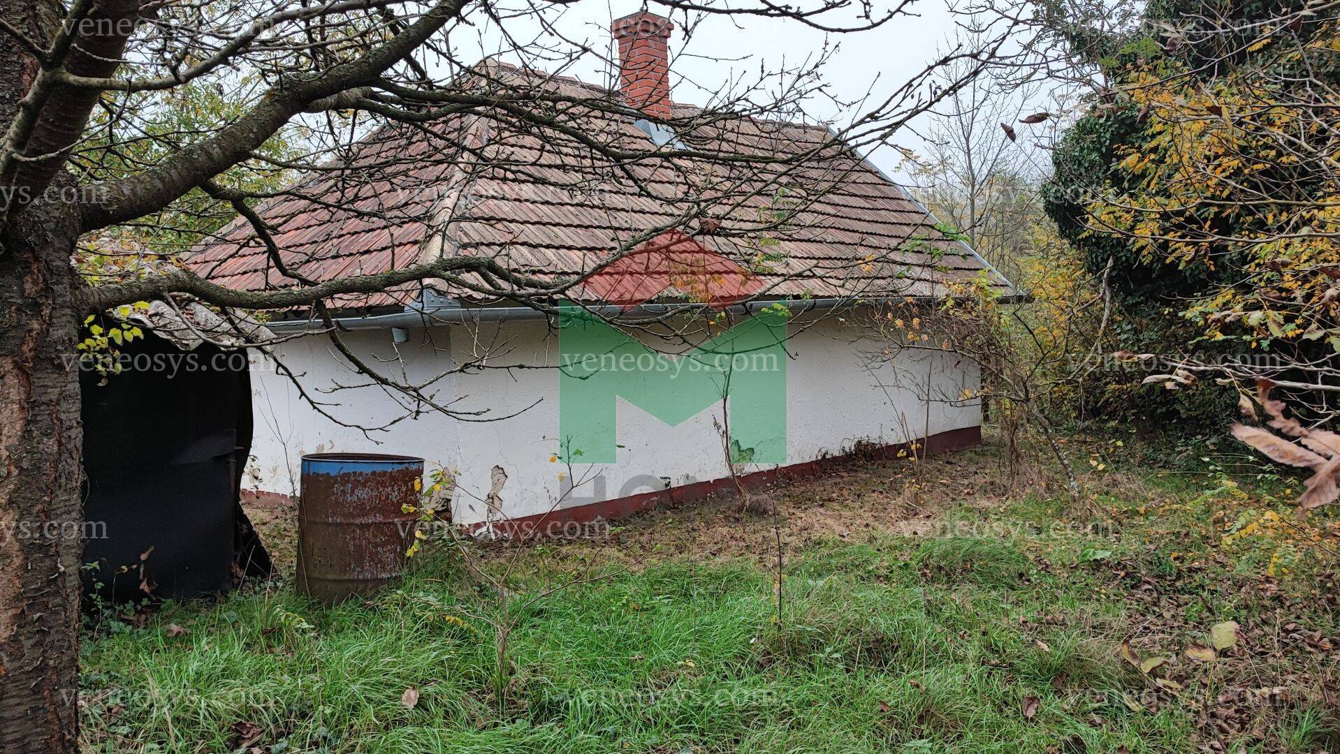 Kép 7