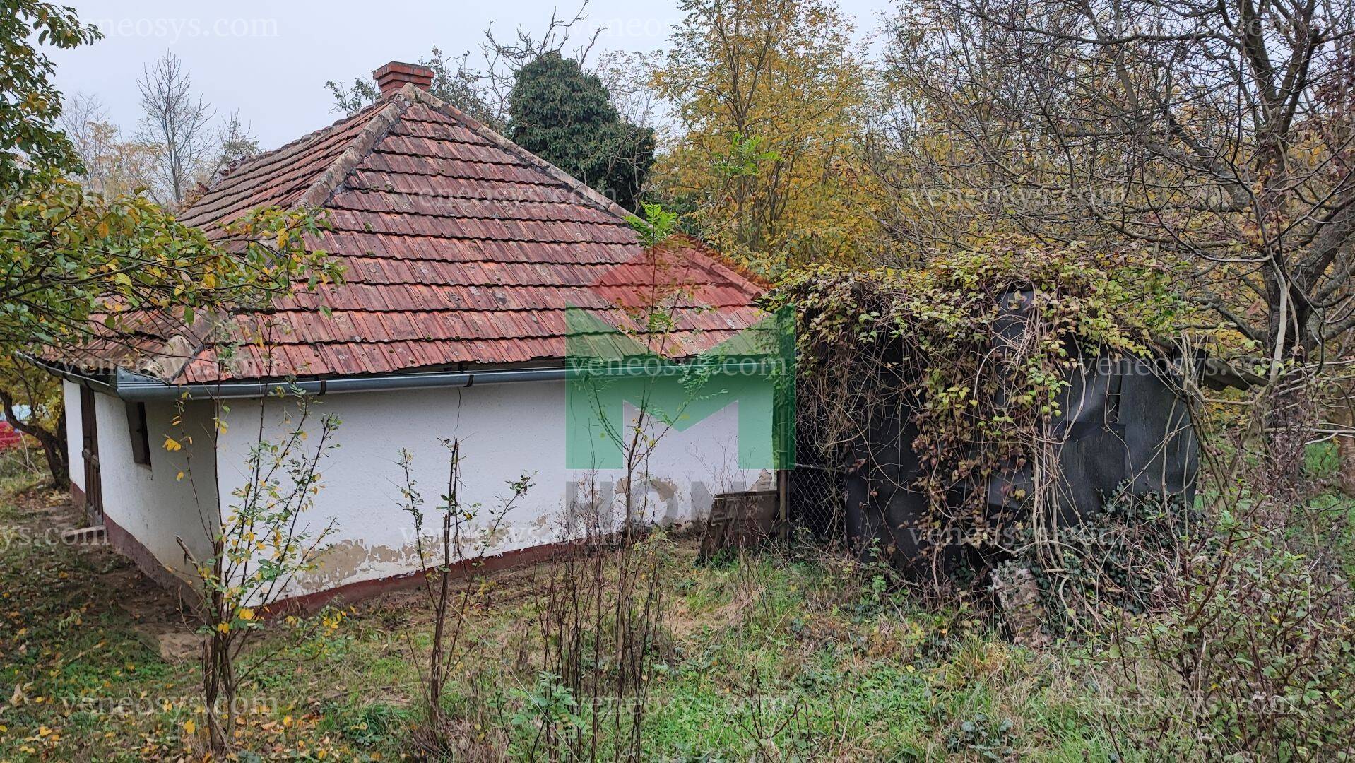Kép 8