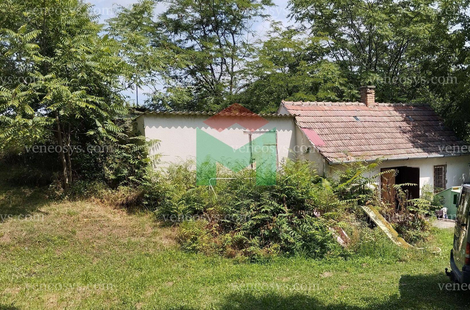 Kép 4