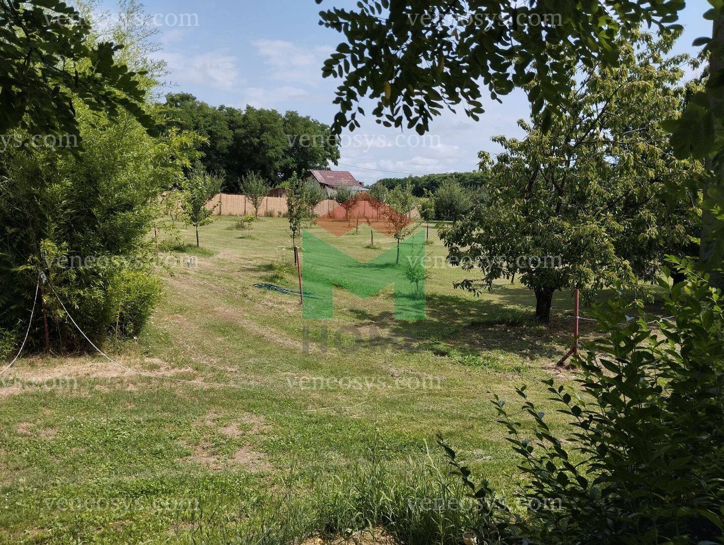 Kép 14