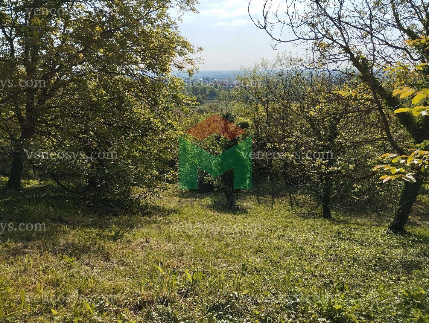 Kép 2