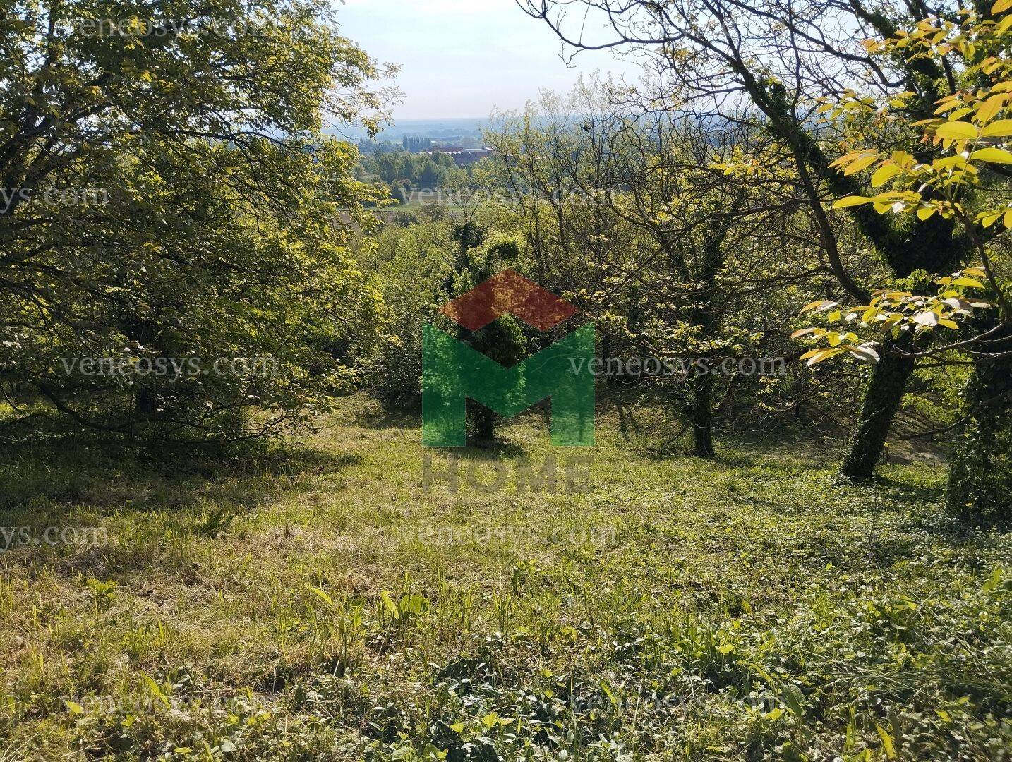 Kép 6