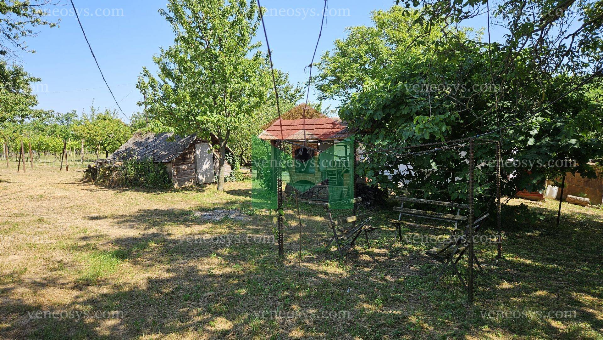 Kép 10