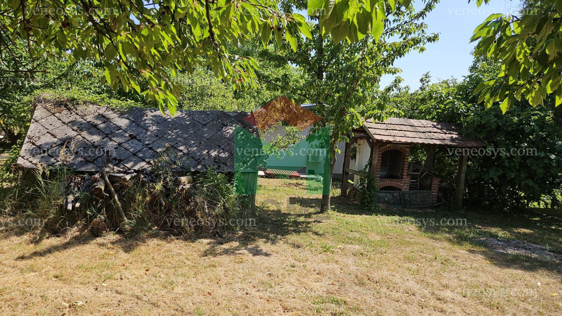Kép 5