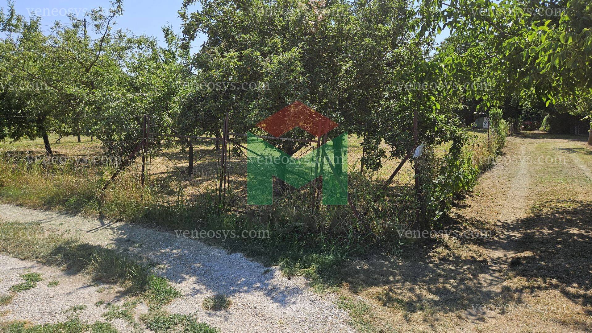 Kép 15