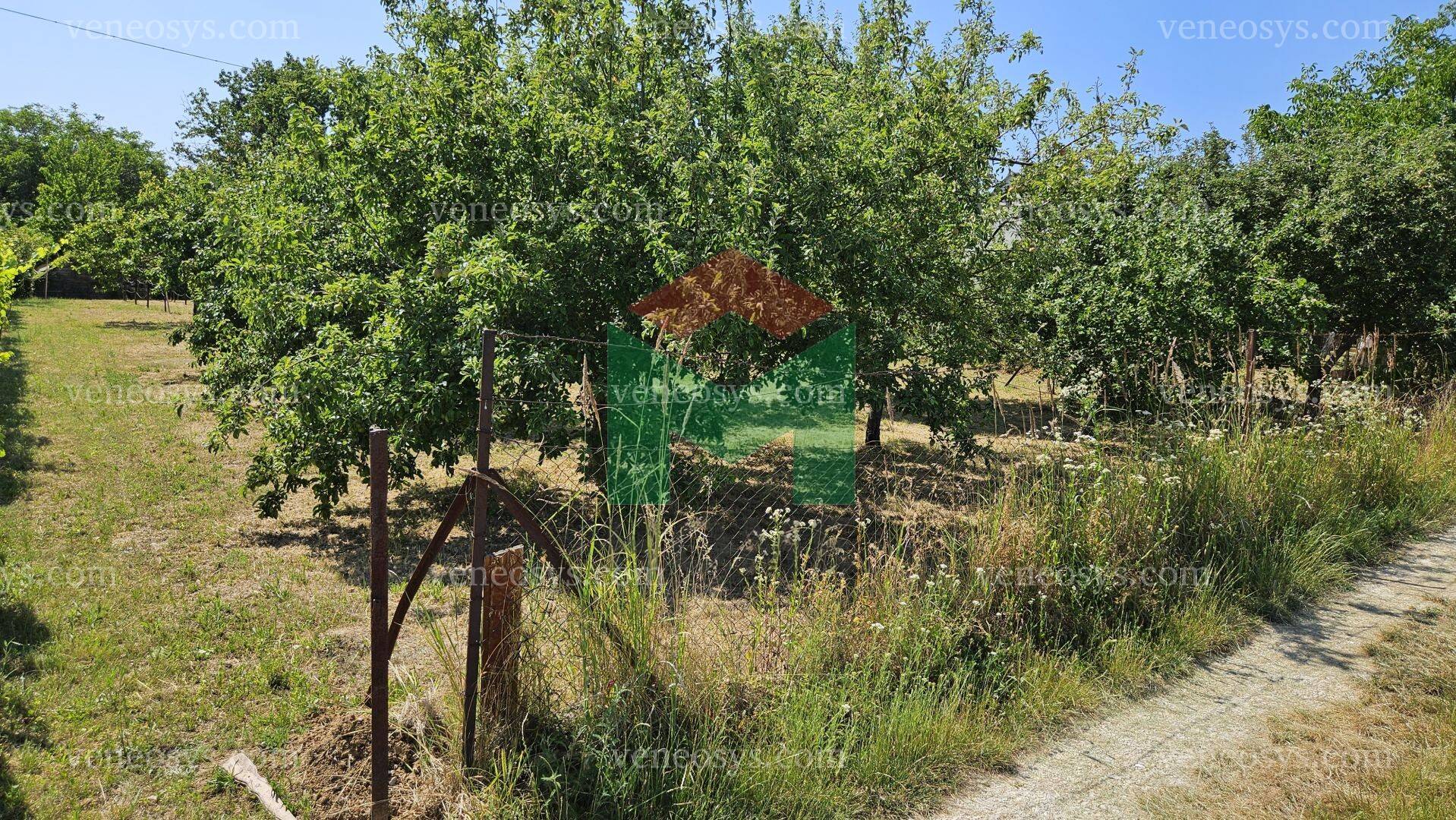 Kép 14