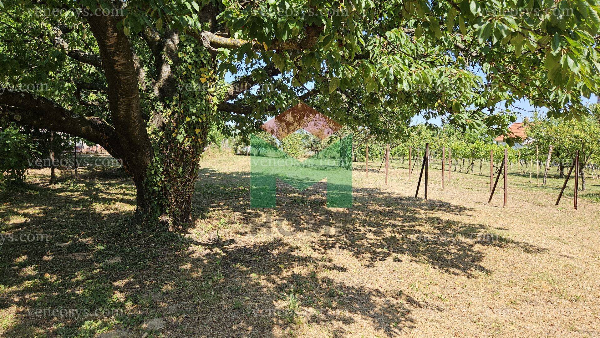 Kép 4