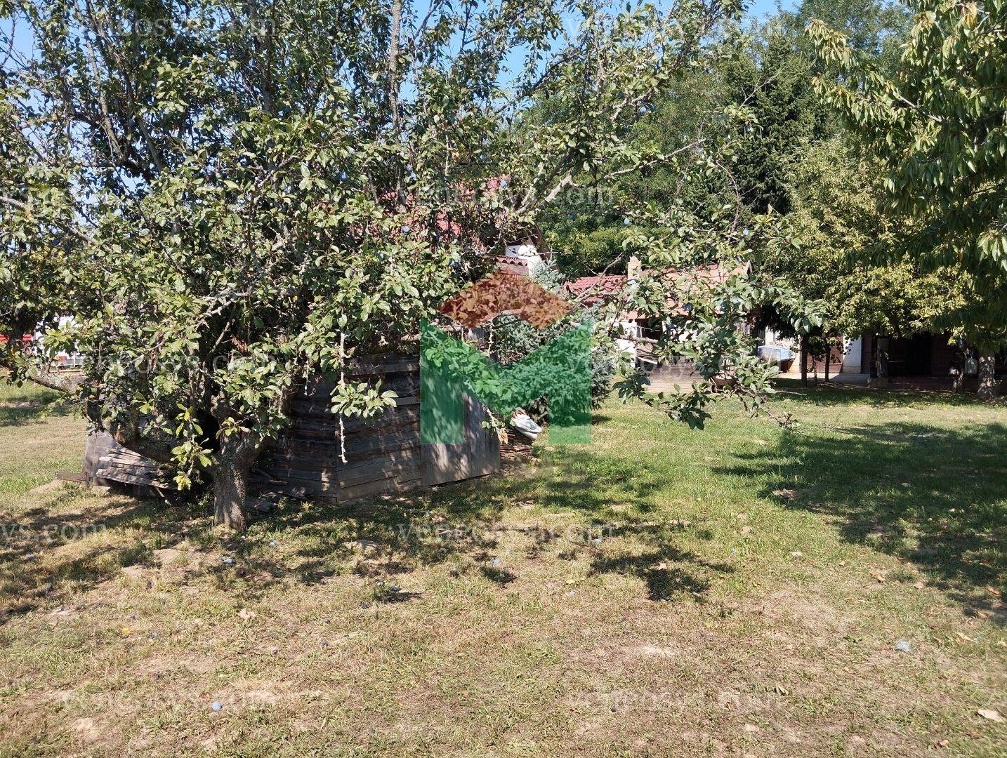 Kép 13