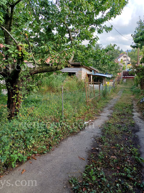 Kép 3