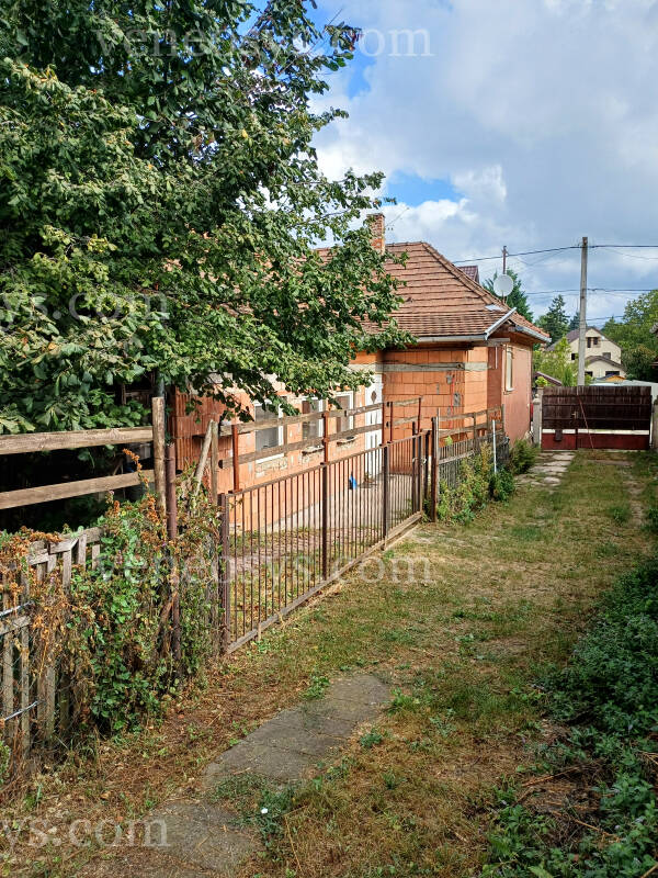 Kép 12