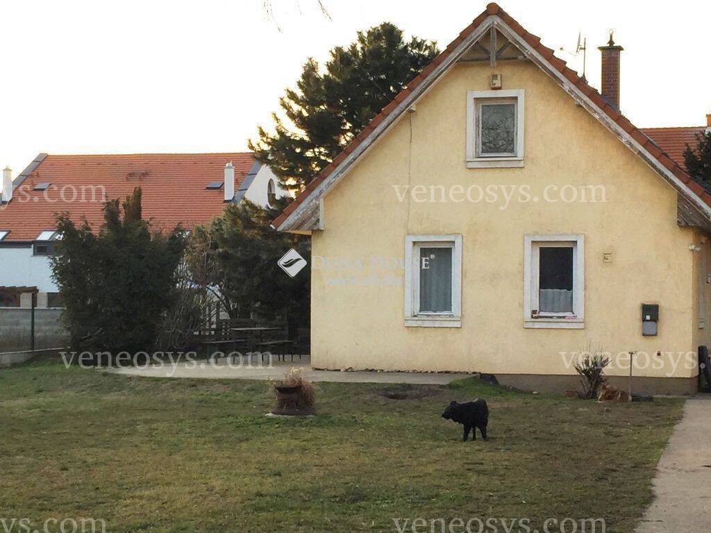 Kép 4