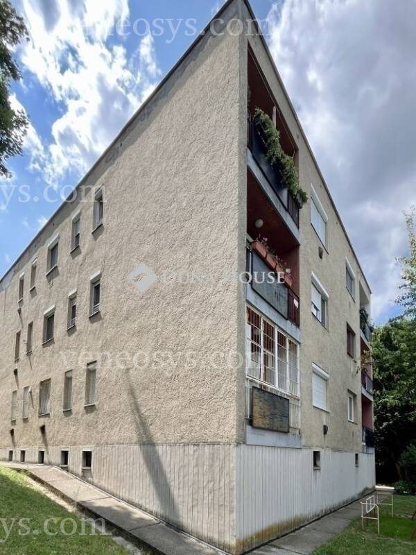 Kép 19
