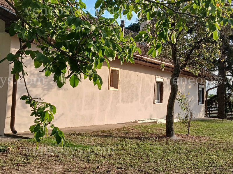 Kép 12