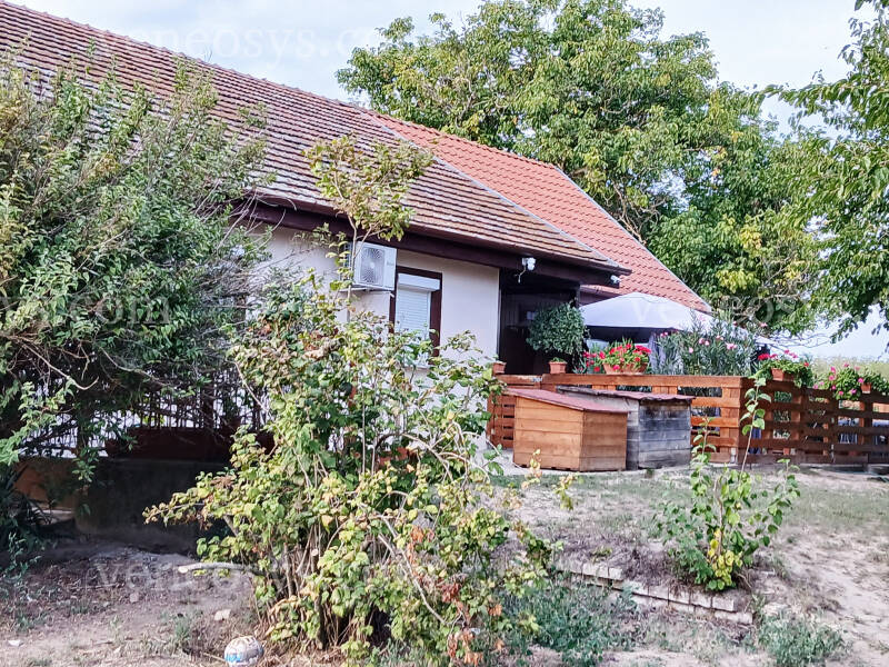 Kép 1