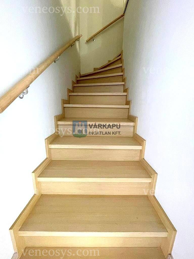 Kép 11