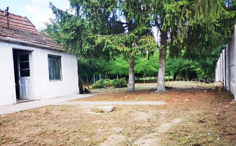 Kép 2