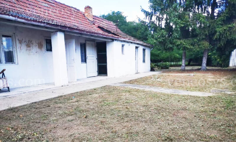 Kép 1