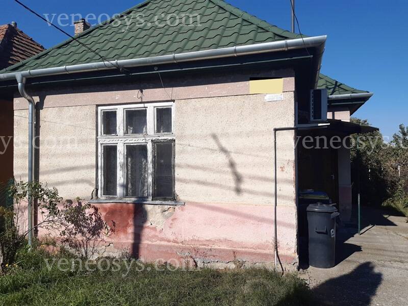 Kép 5