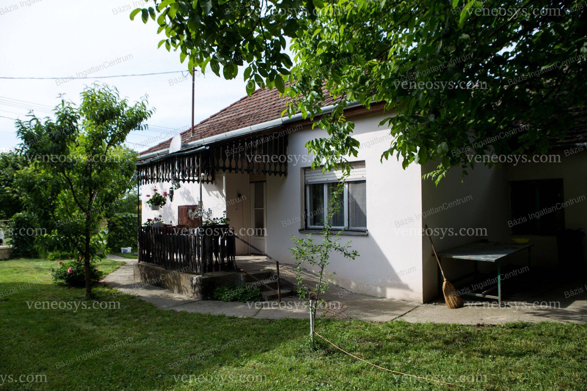 Kép 11