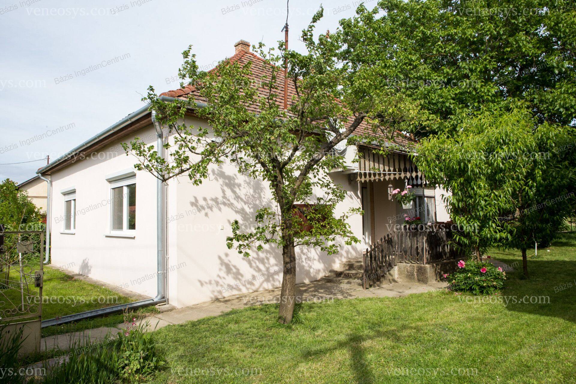 Kép 13