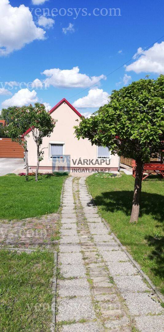Kép 6