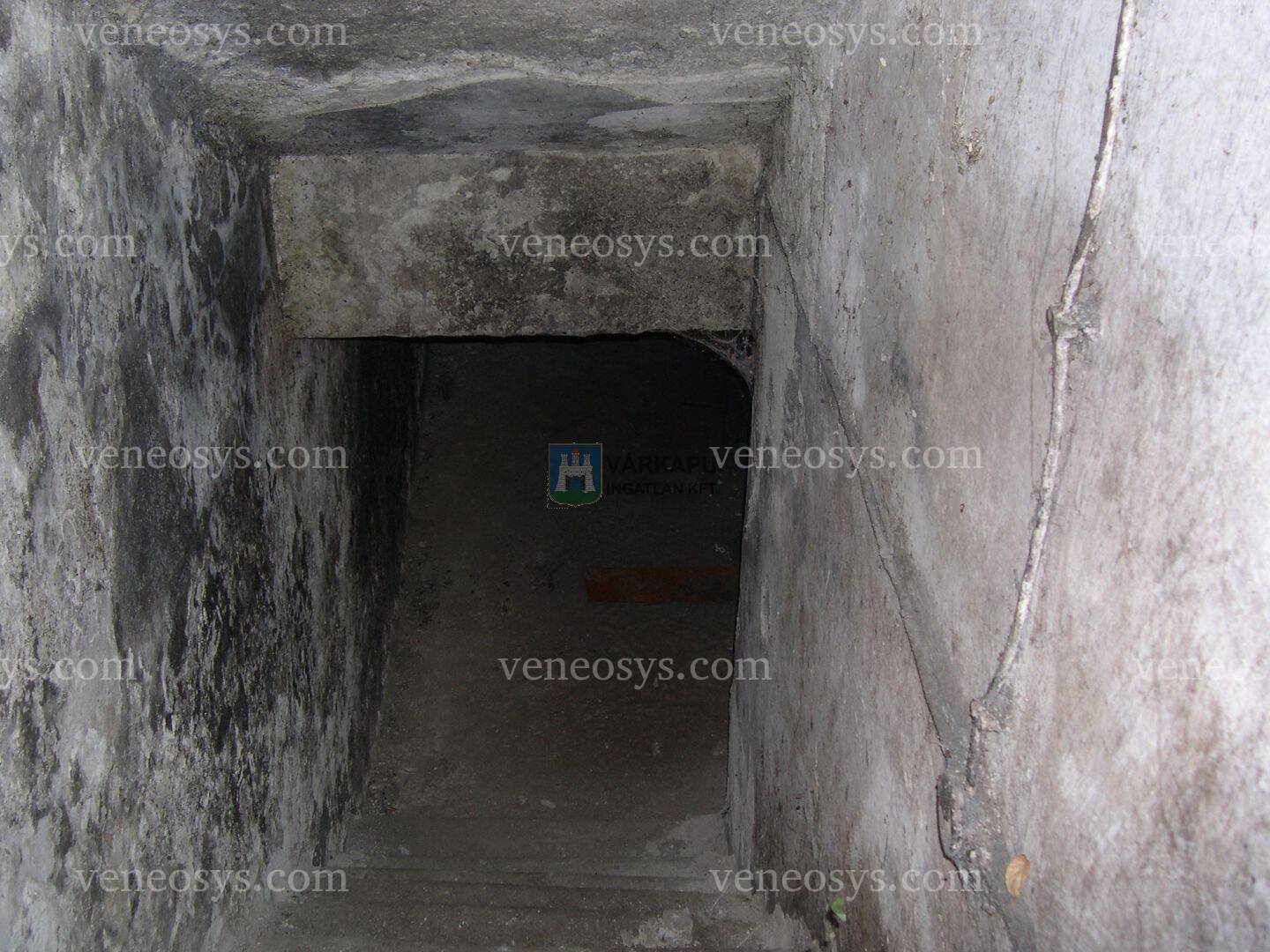 Kép 5