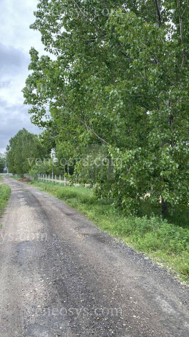 Kép 5