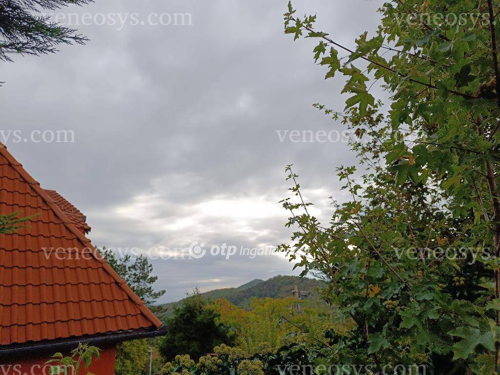 Kép 5