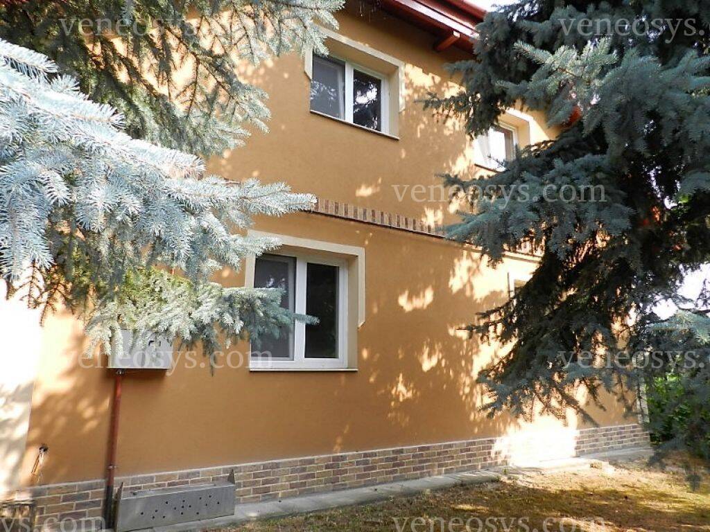 Kép 7