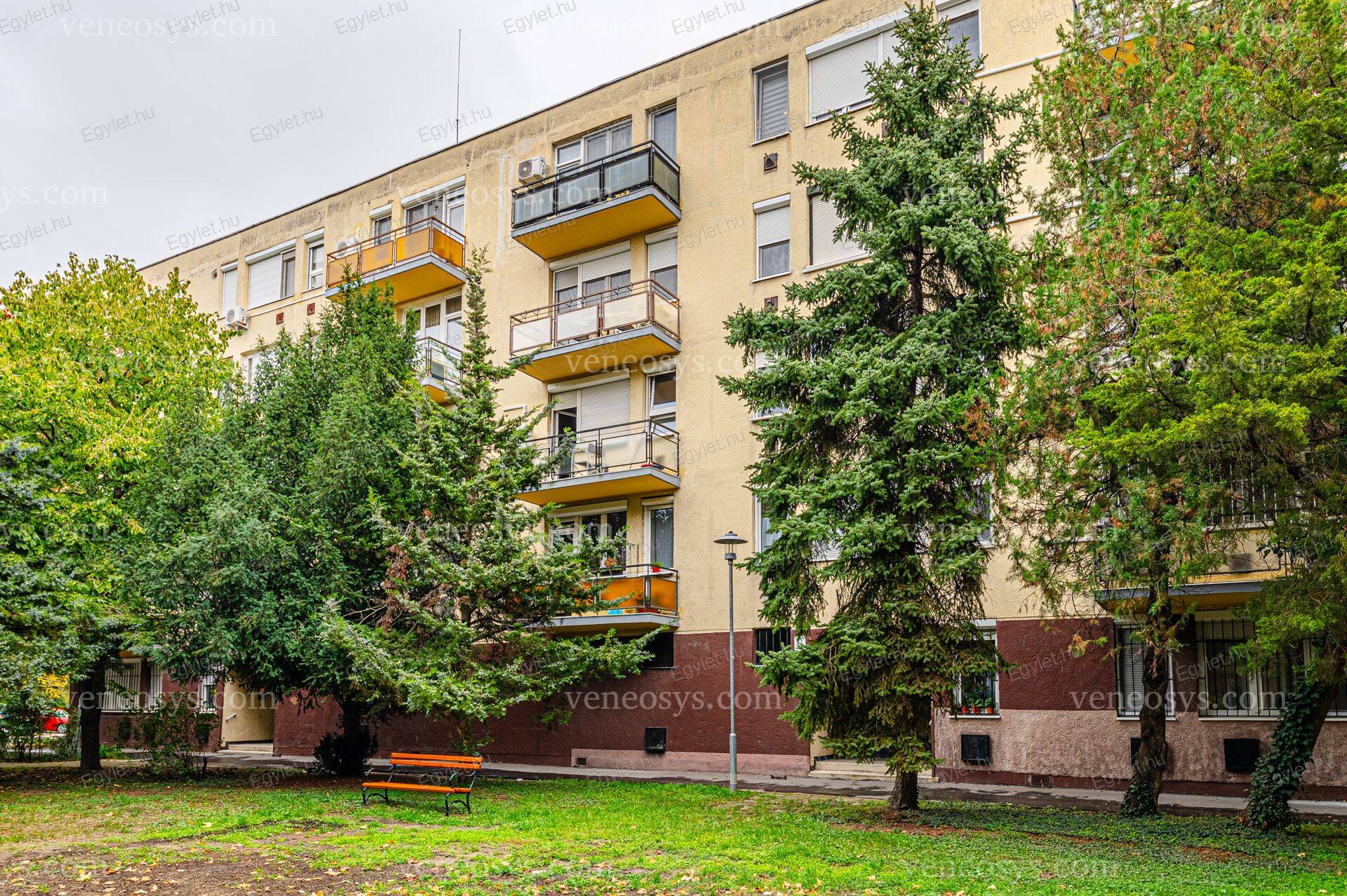 Kép 7