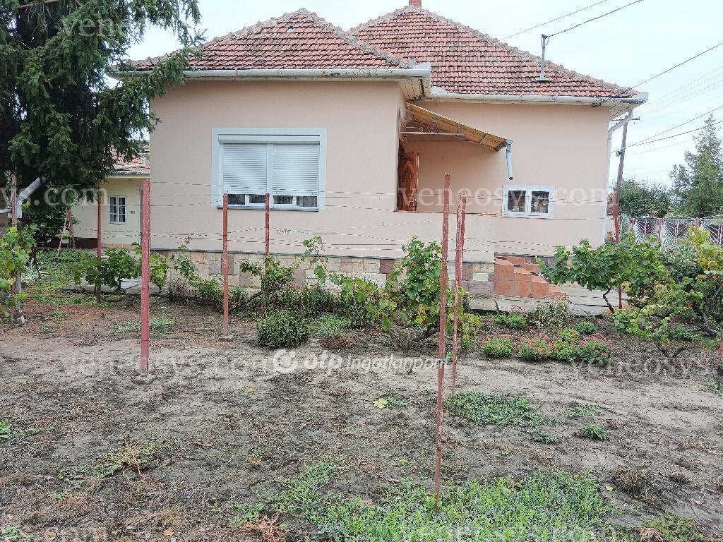 Kép 11