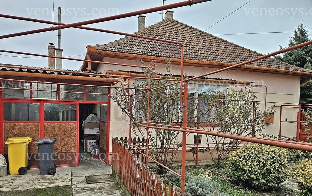 Kép 6