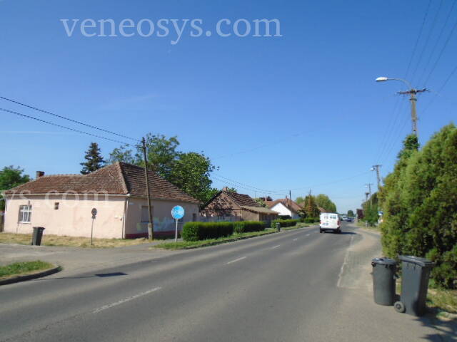 Kép 3
