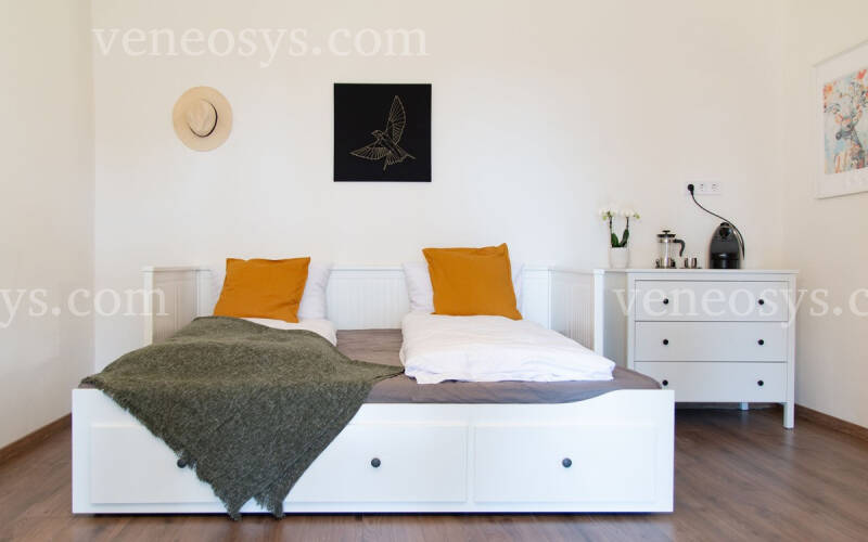 Kép 11